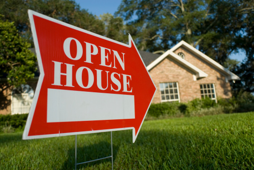 Modern Open Houses - Texas Realtors